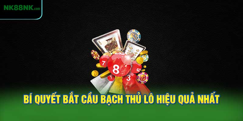 Bí Quyết Bắt Cầu Bạch Thủ Lô Hiệu Quả Nhất